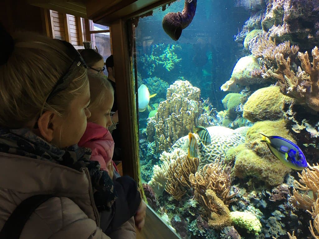 Tierpark