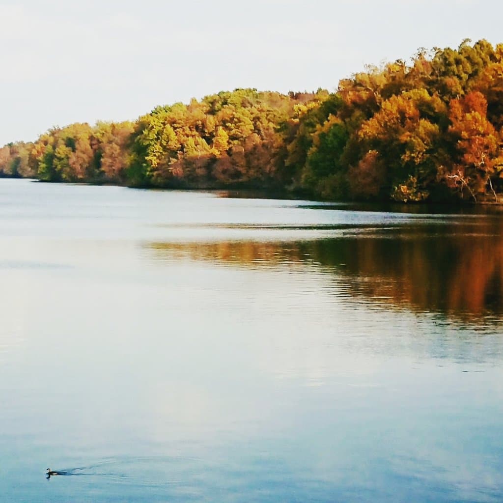 Lake Fayetteville