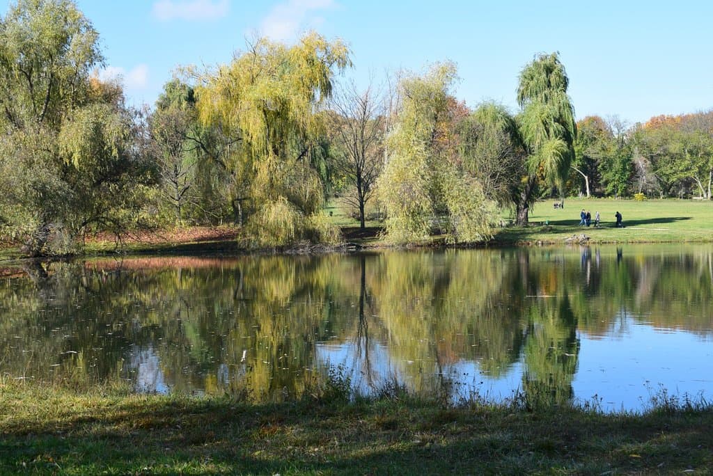 Chisinau - Botanical Garden