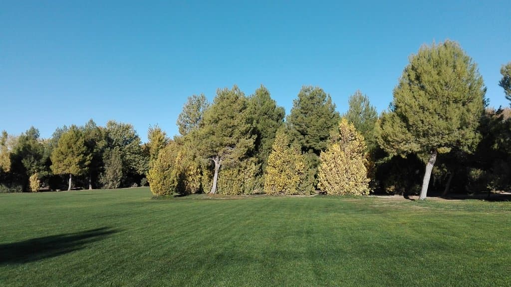 Verde.