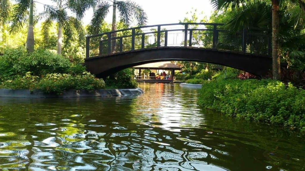 Rainforest Adventure Experience RAVE Pasig