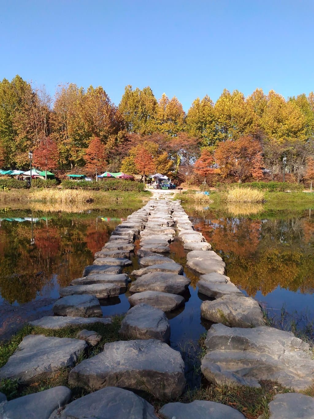 Gwangbang Jae Lim 13