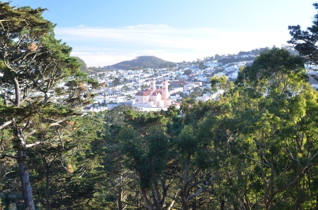 One of the views
