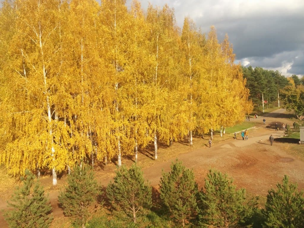 В парке Кирова