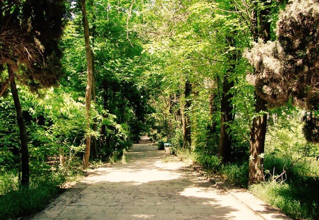 Central Botanical Garden Baku