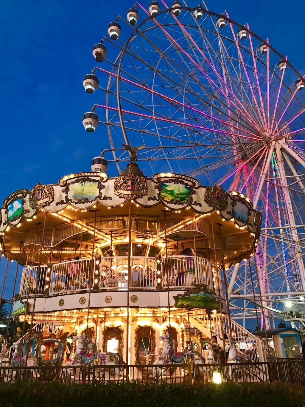 View of some rides