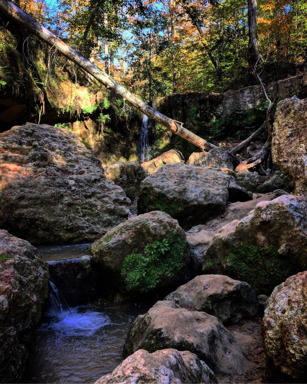 Clark Creek Natural Area