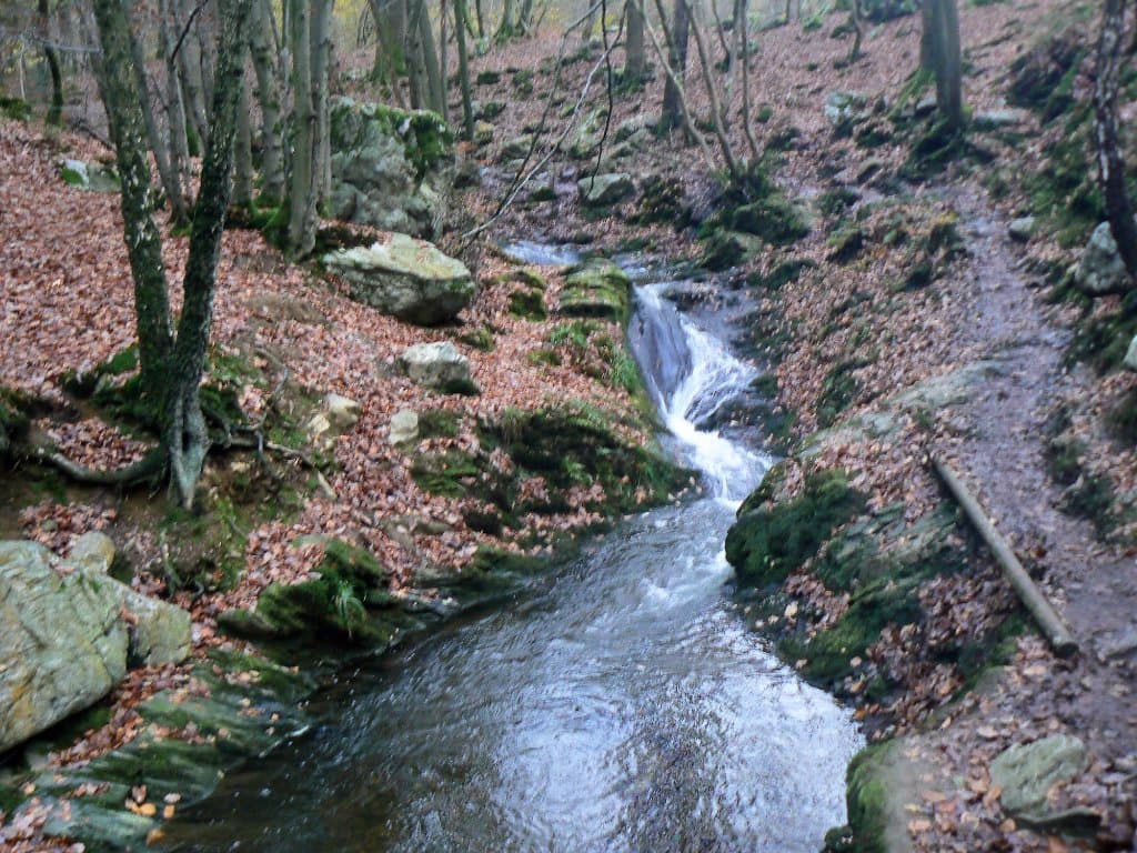 Eaux écumantes