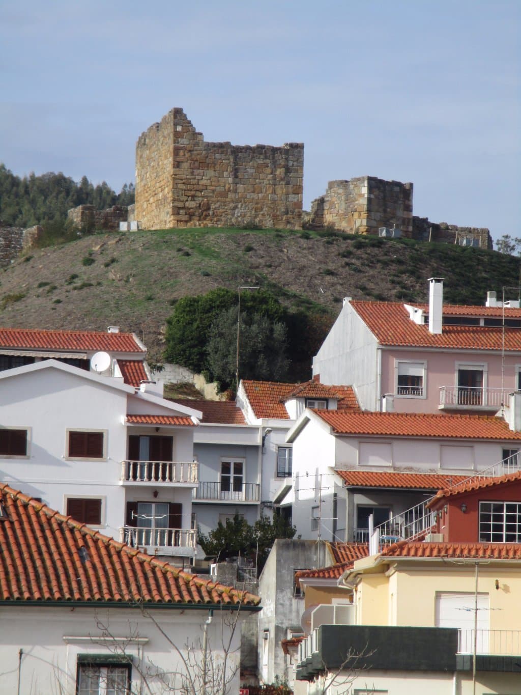 Castelo de Alcobaça
