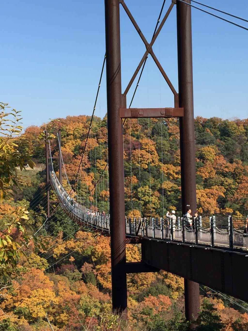 Hoshi no Buranko Bridge