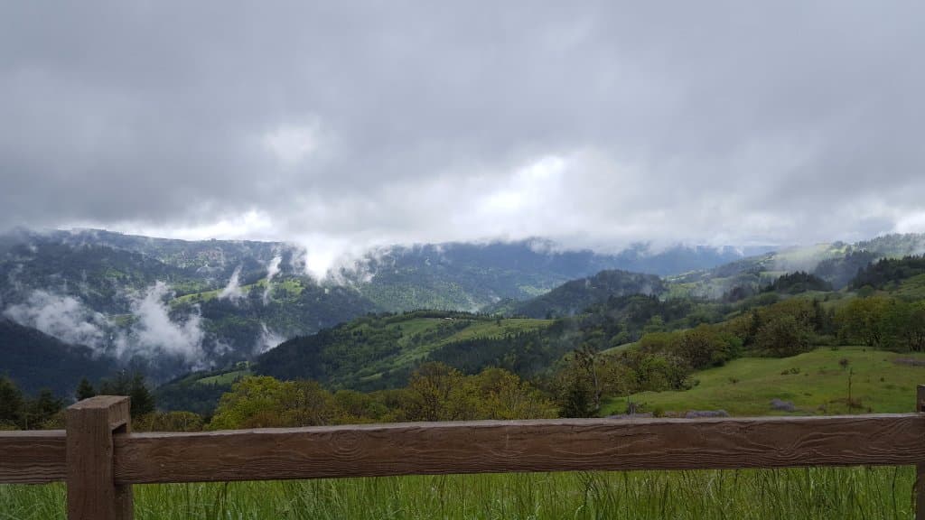 Shasta- Trinity