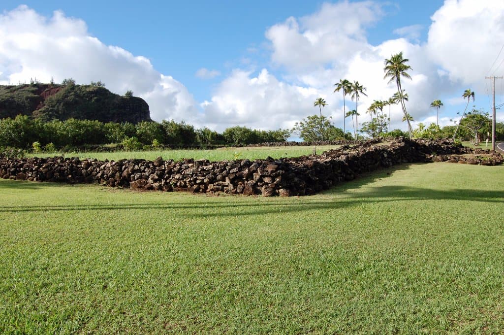 Ancient Hawaiian ruins