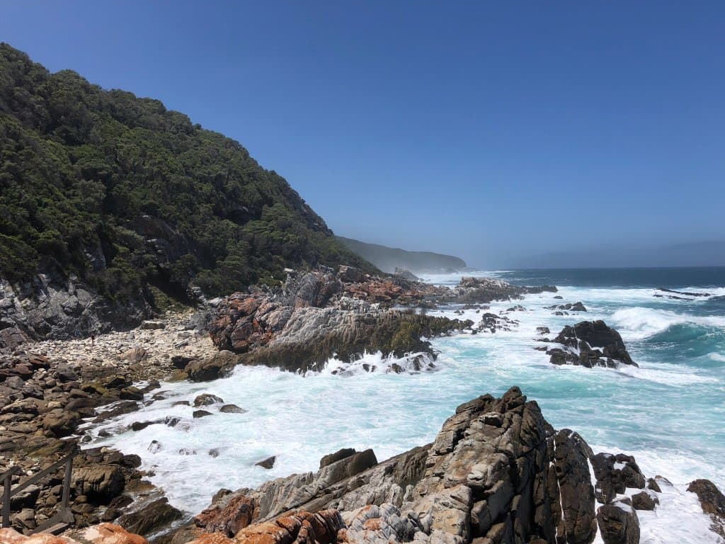 Waterfall Trail Otter