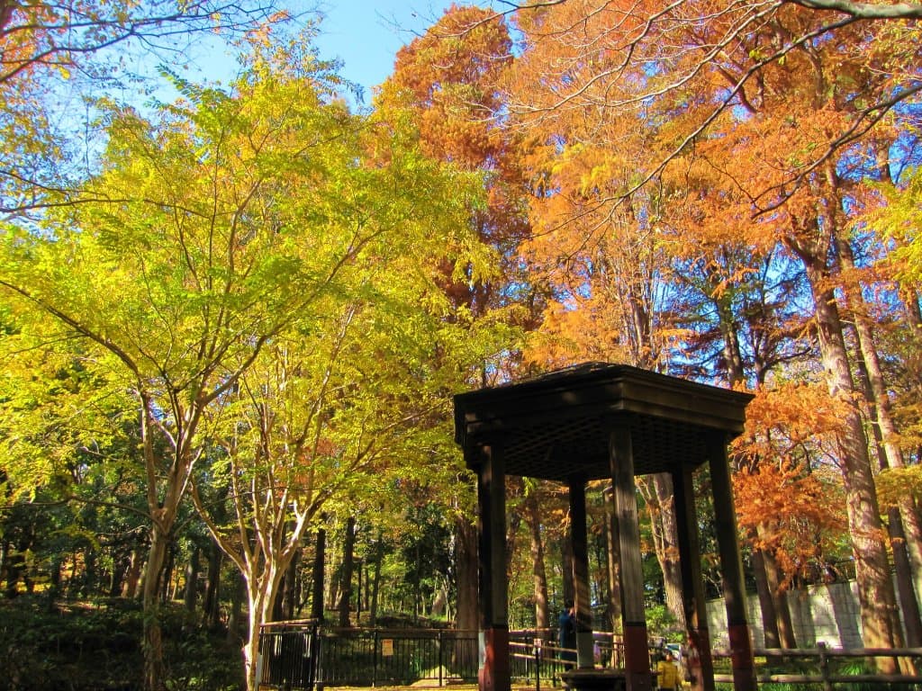 Rinshi-no-Mori Park