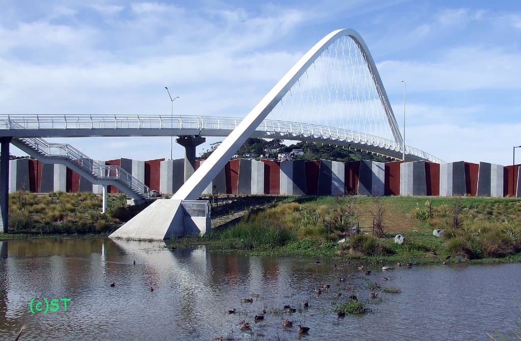 The bridge and duck pond