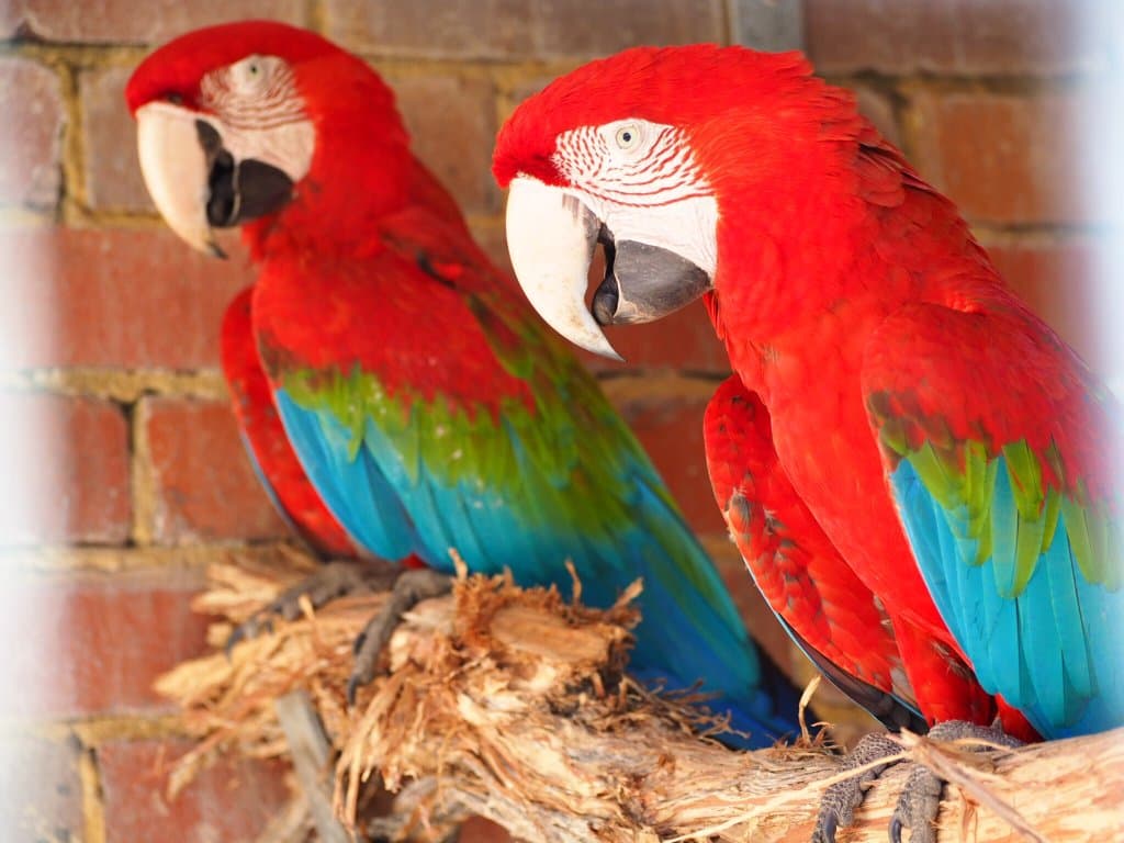 Lovely colours