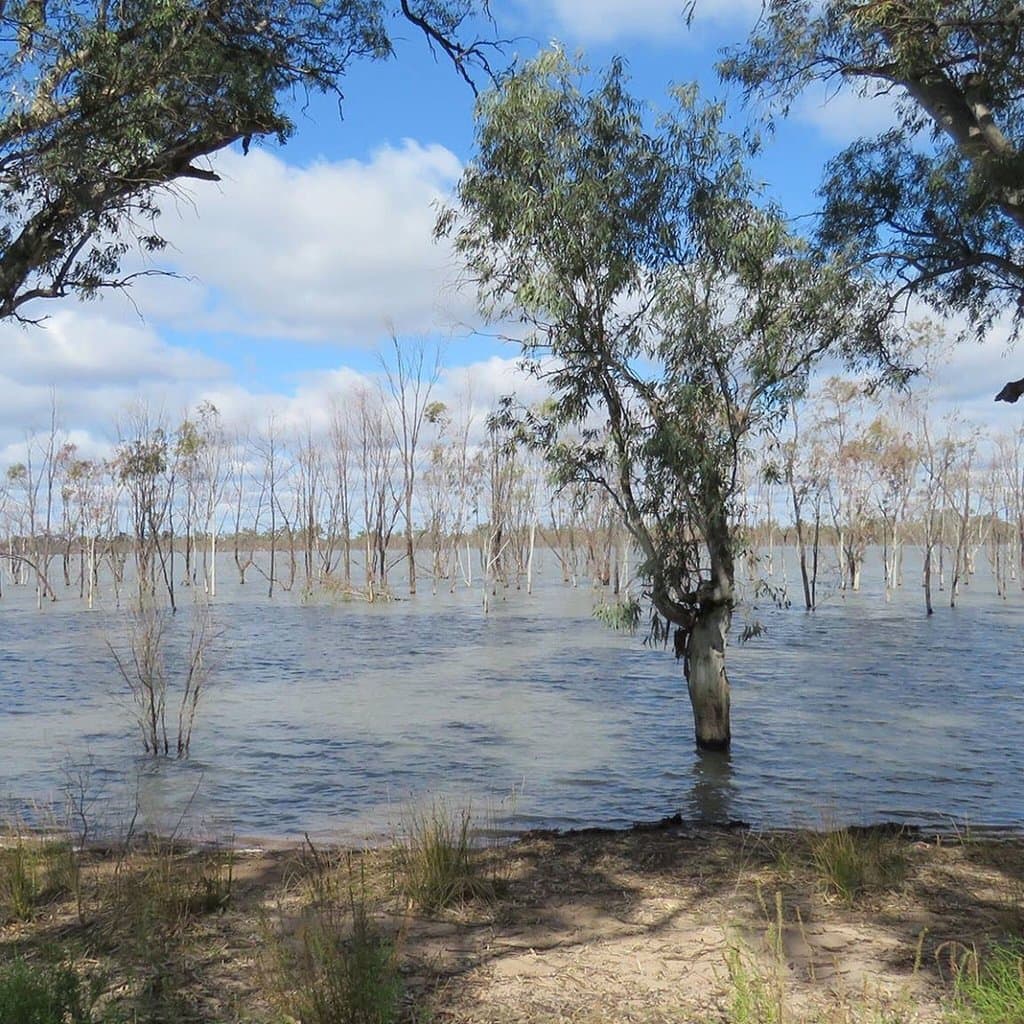 Hattah-Kulkyne National Park
