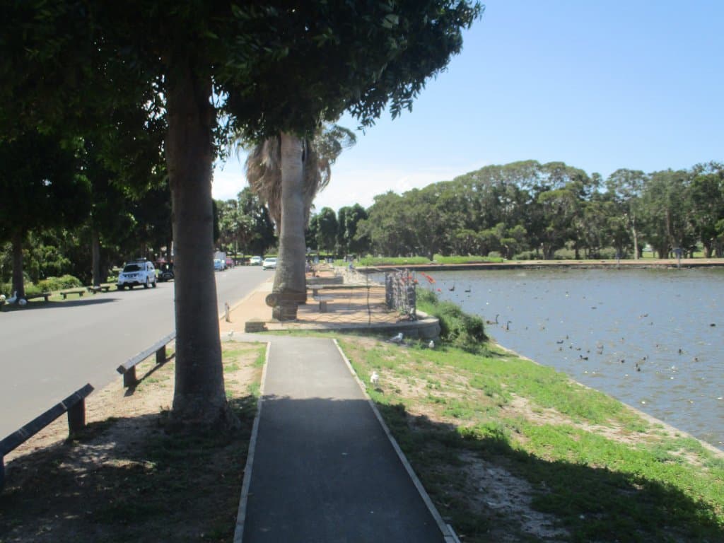 Beside Duck Pond