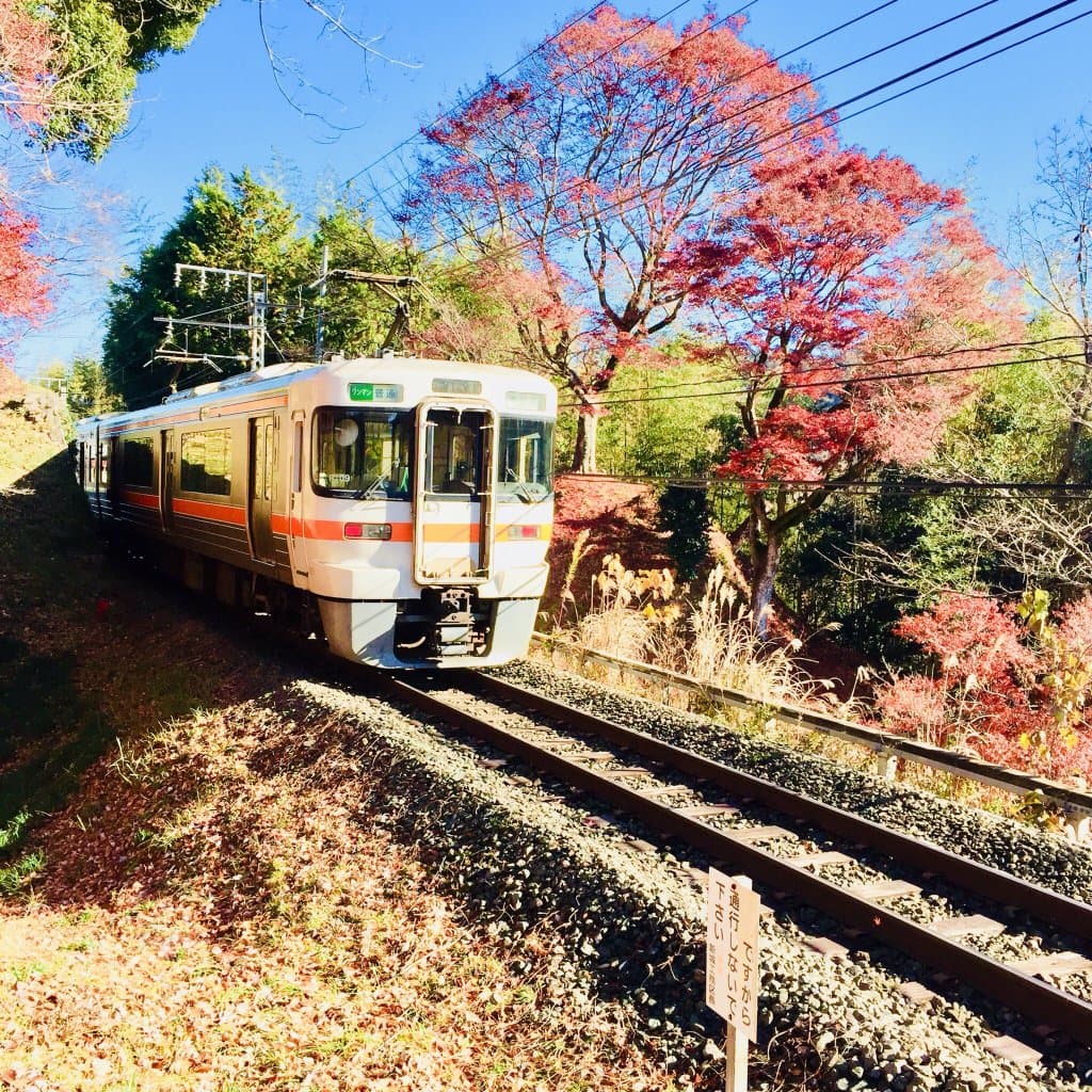 Nagashino Castle Ruins and Museum Shinshiro Aichi