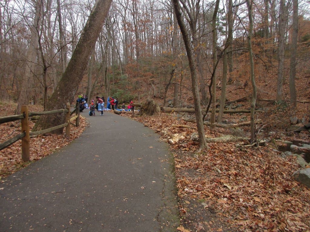 Path for human and pets