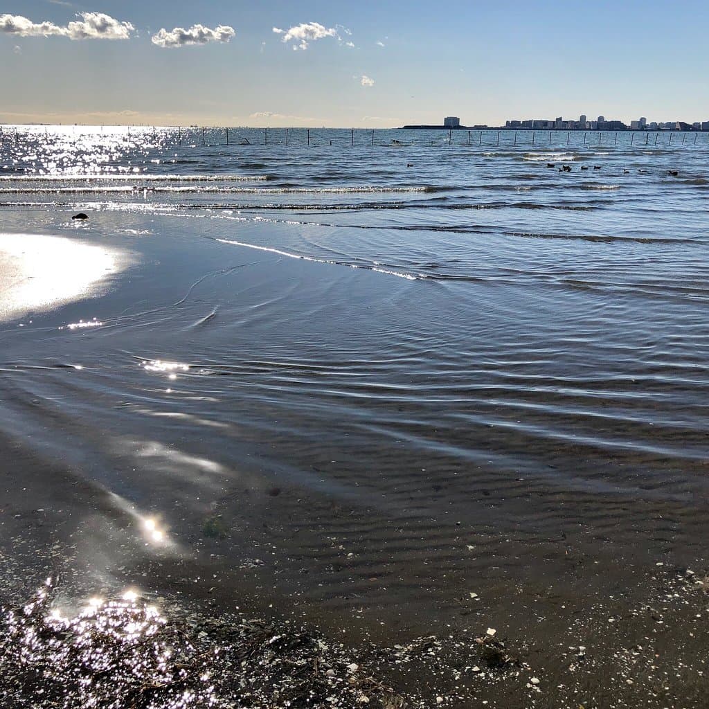 ふなばし三番瀬海浜公園