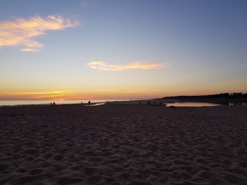 Chihuahua Beach