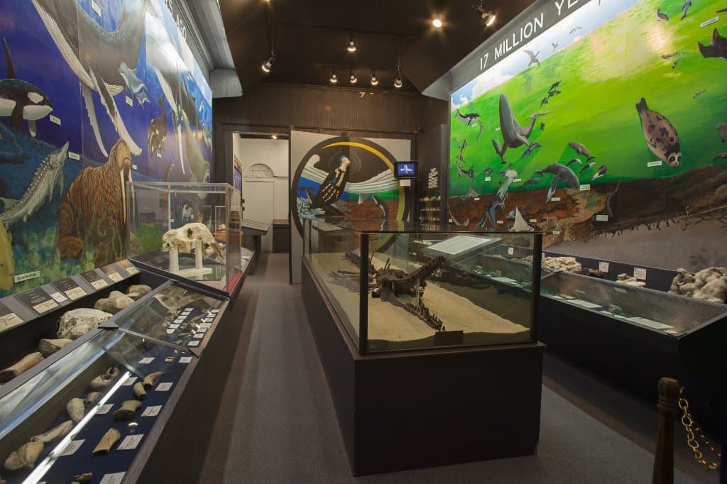 Explore and learn about eastern North Carolina's natural history!