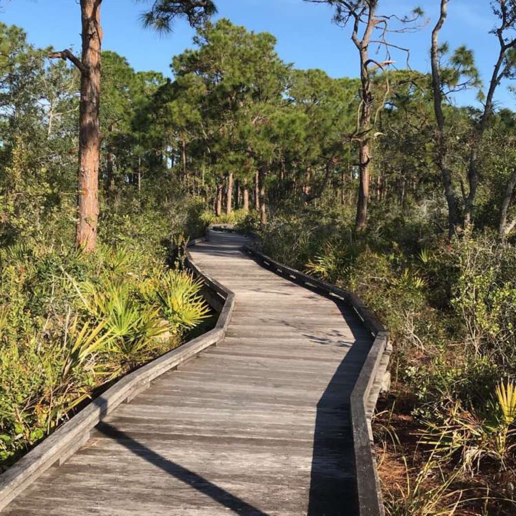 Naples Preserve