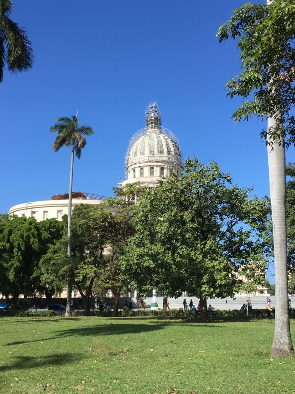 Capital Building from end of park