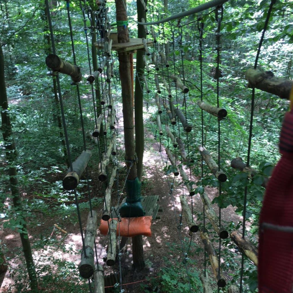 Schwindelfrei der Kletterwald