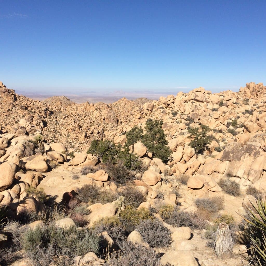 Boy Scout Trail