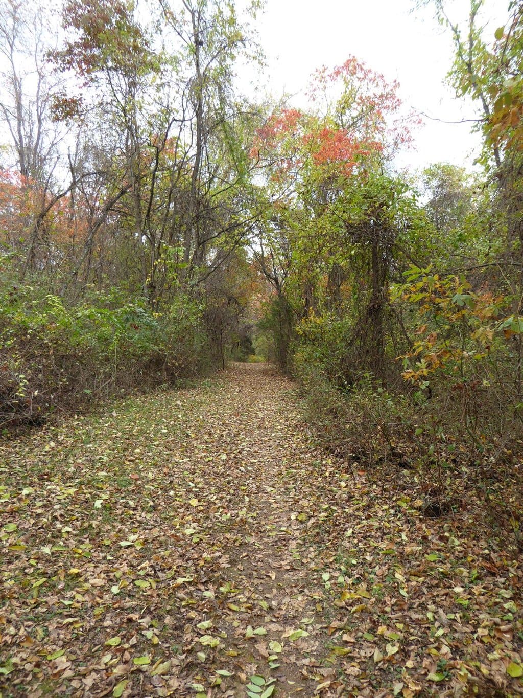 Wide path