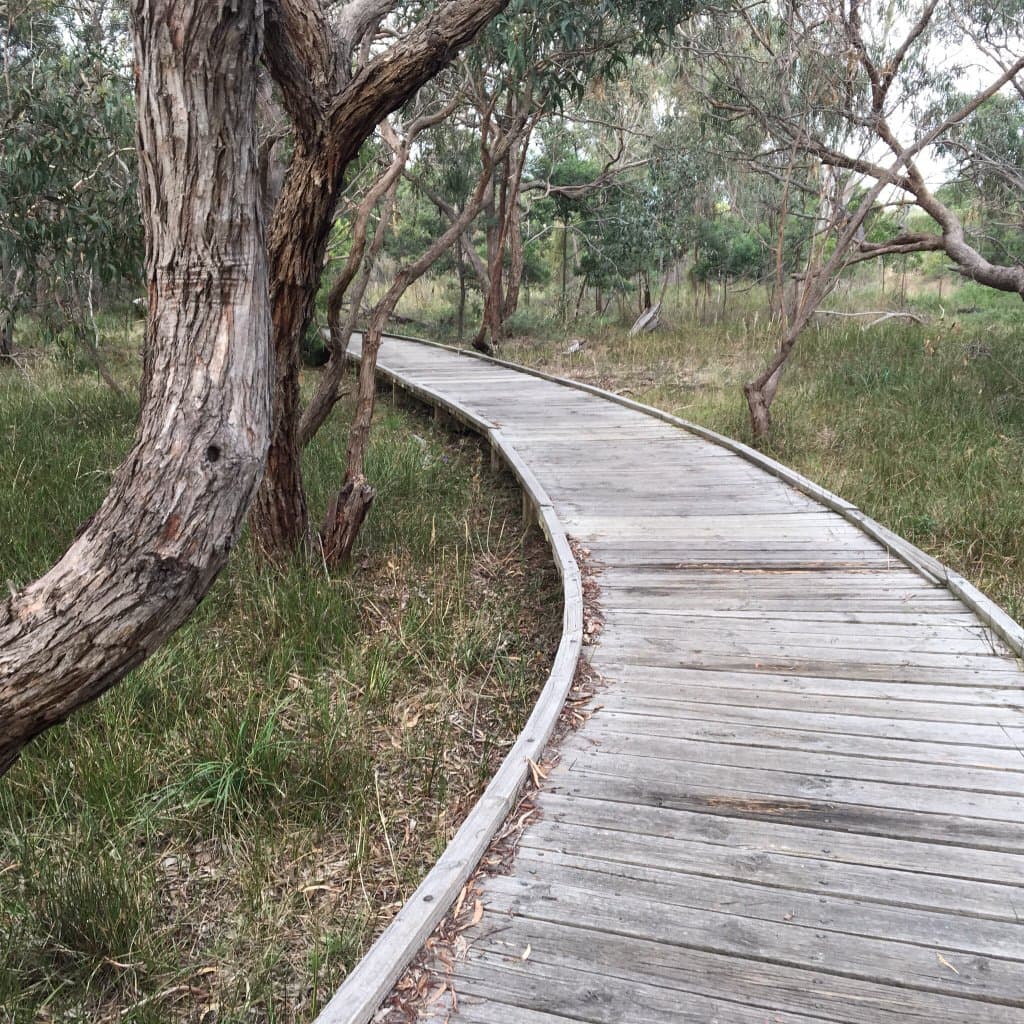 Long Hollow Heathland
