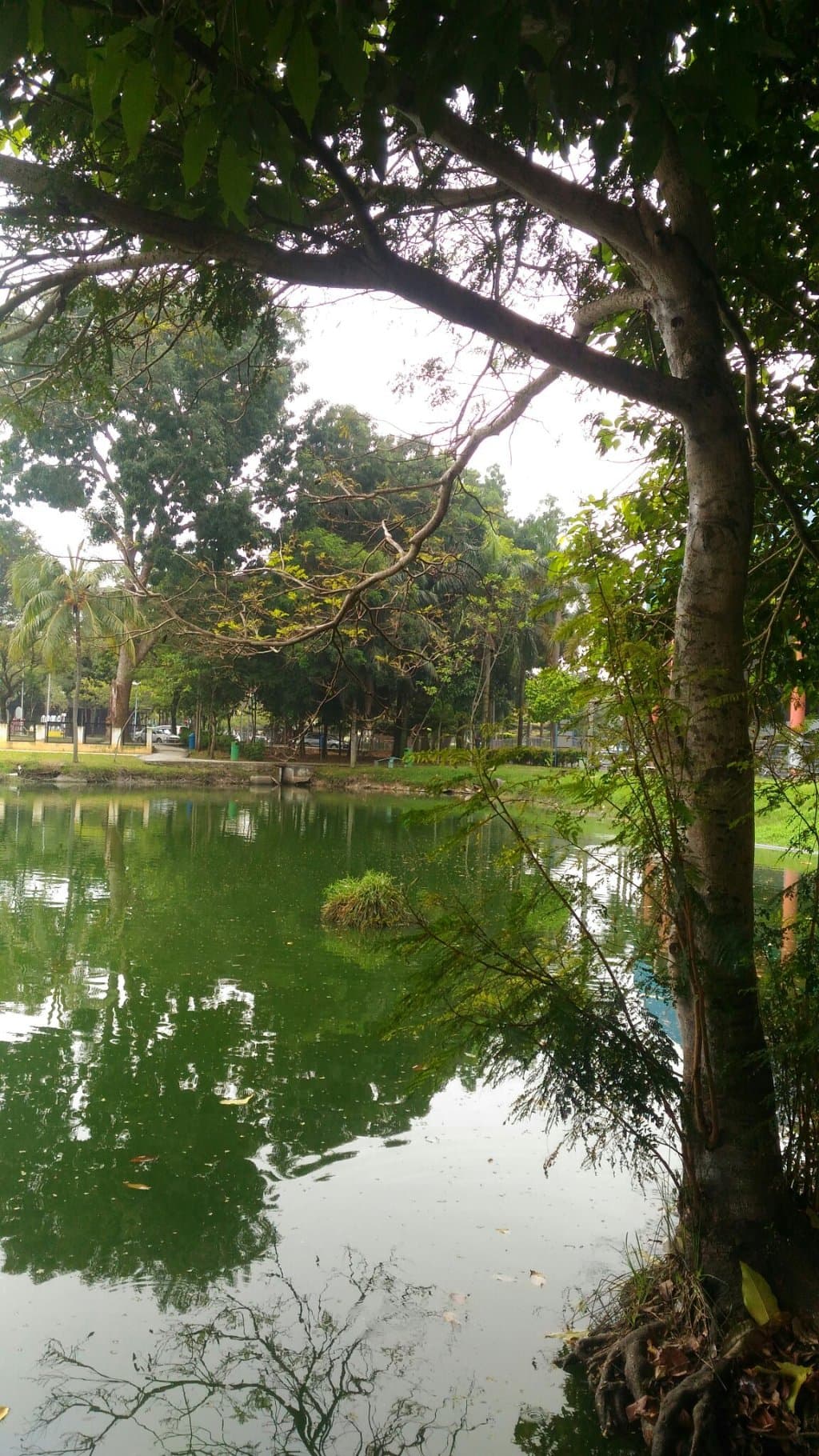 Taman Kelana