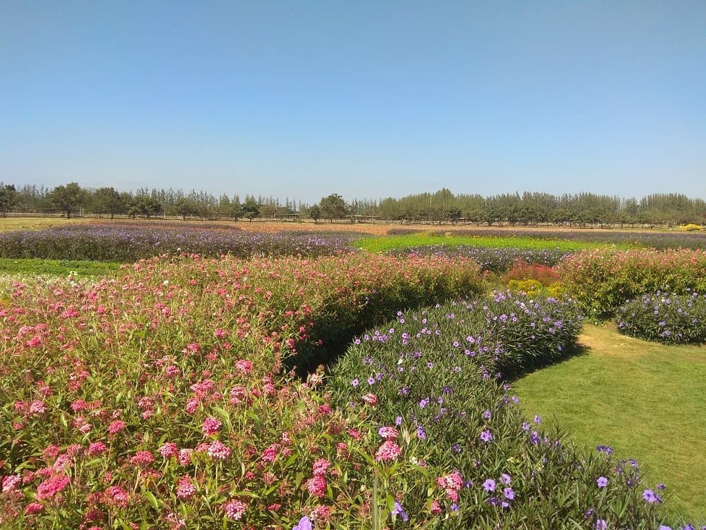 Farm Chokchai
