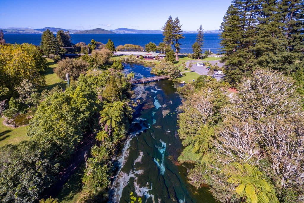 Hamurana Springs Rotorua
