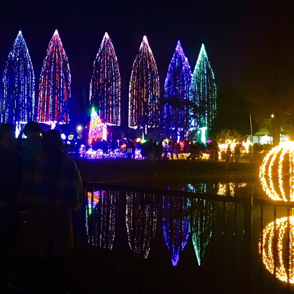 12/25までの期間限定ライトアップ