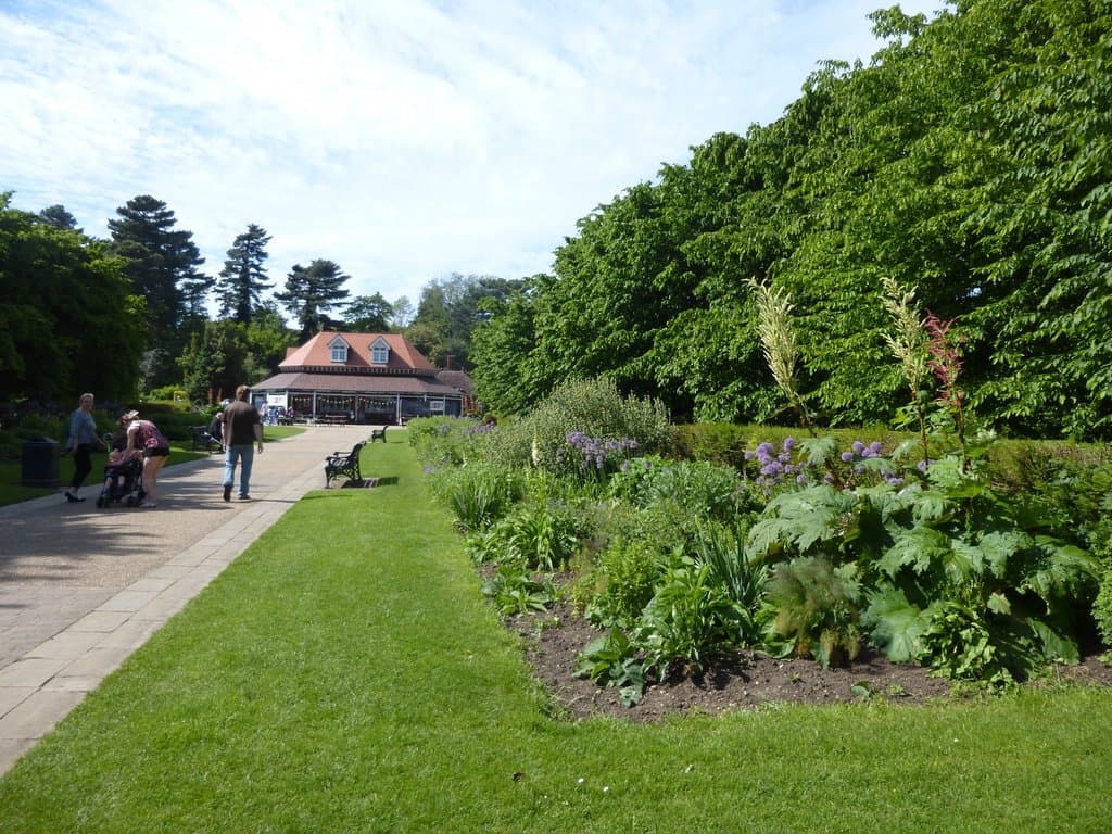 Lovely garden paths