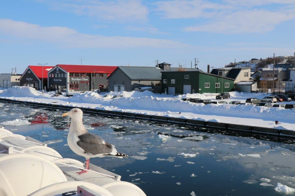 Michi-no-Eki Ryuhyo Kaido Abashiri