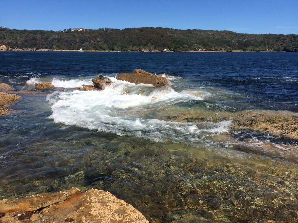 Henry Head Walking Track