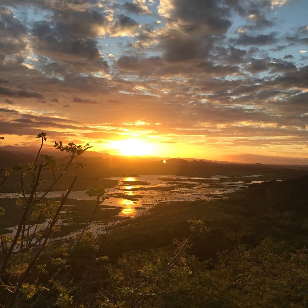 Palo Verde National Park Costa Rica