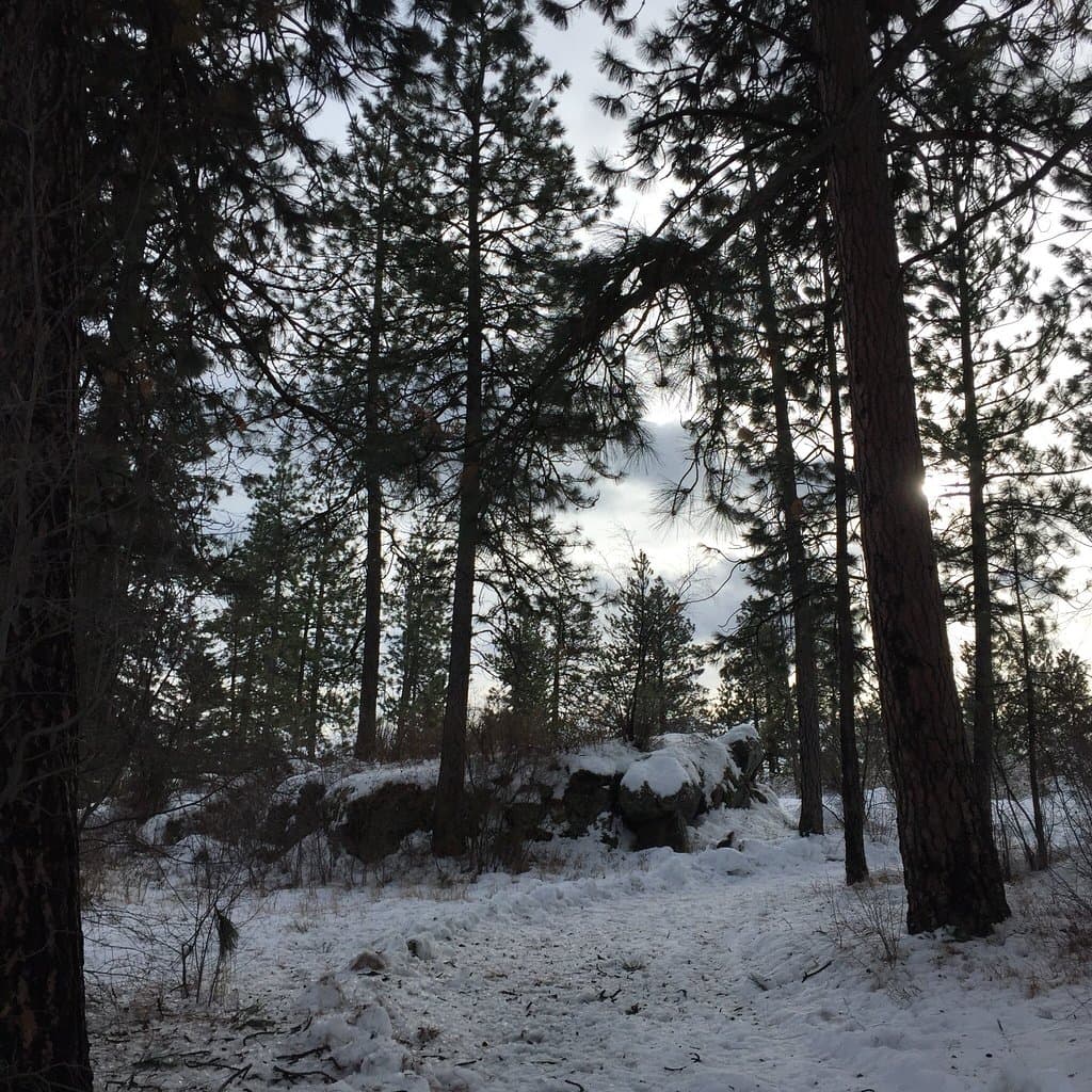 Treaty Rock Park