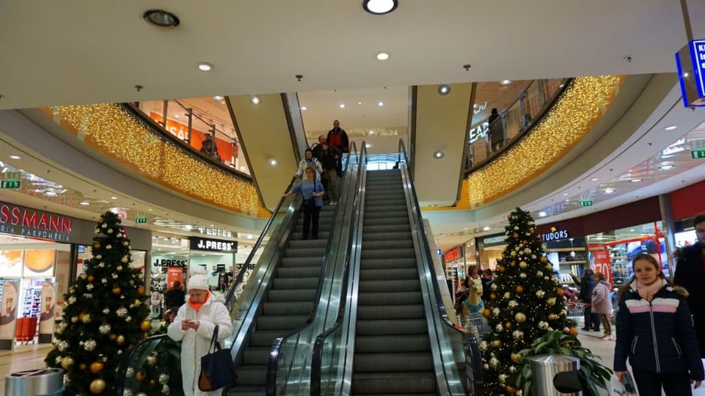 Cristmas trees are everywhere