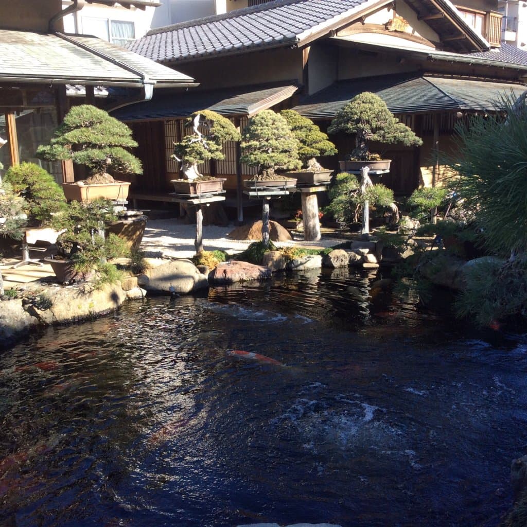 Shunkaen Bonsai Museum