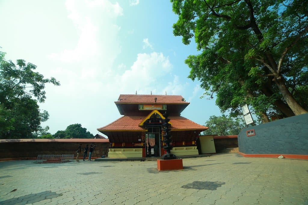 Front view