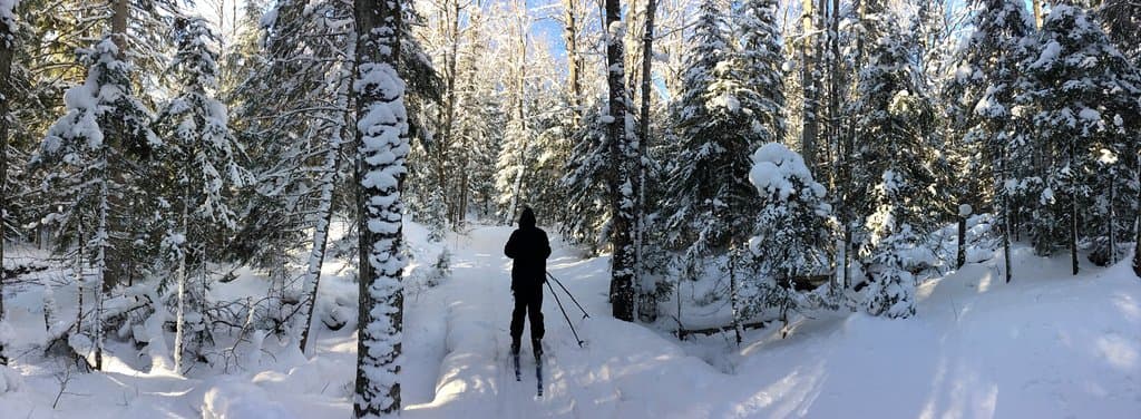 The Pike's Creek Trail is a winter wonderland.