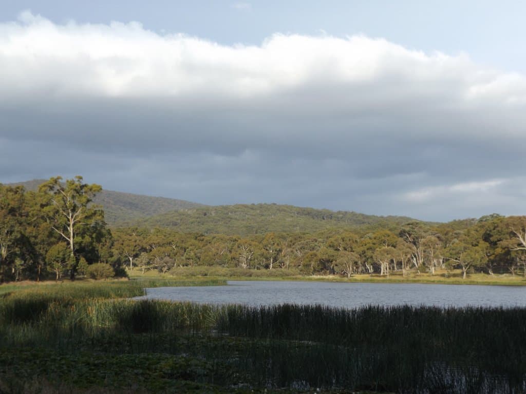 View across the dam from the picnic area