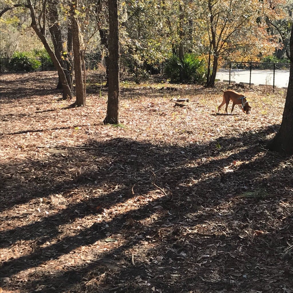 Frederica Park