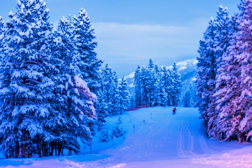 Winter Wonderland!  So many special places on our mountain.