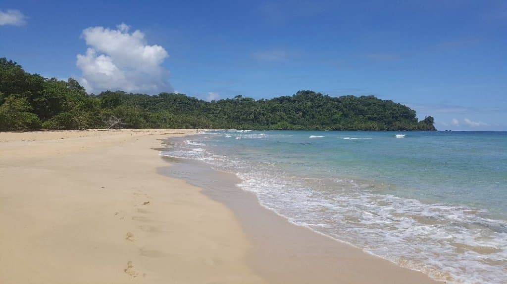 Wizard Beach